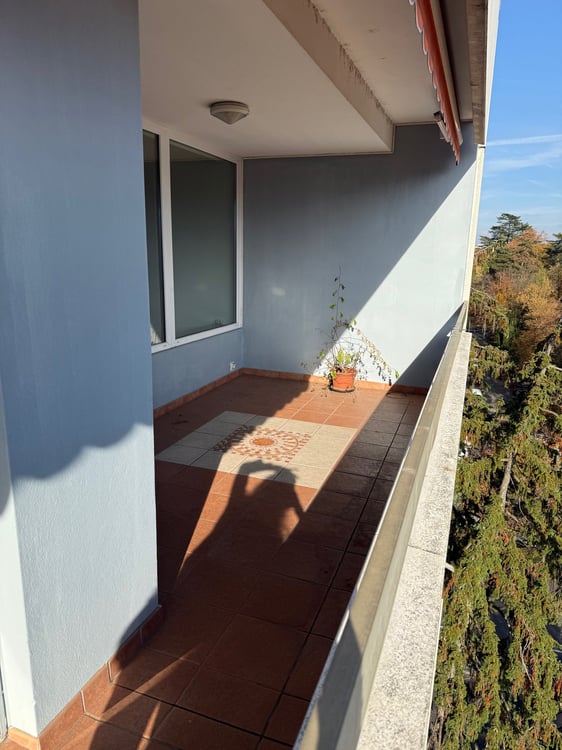 Magnifique appartement lumineux de 6 pièces 4