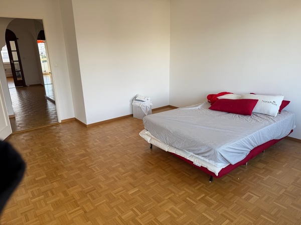 Magnifique appartement lumineux de 6 pièces 6