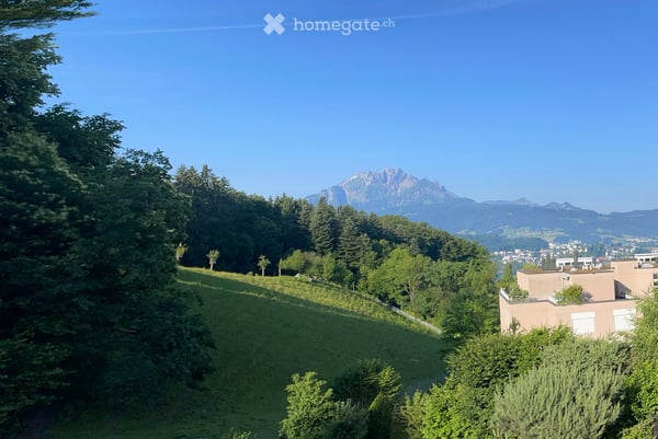 Charmante 2.5-Zimmer-Wohnung mit Panoramablick in Luzern 13