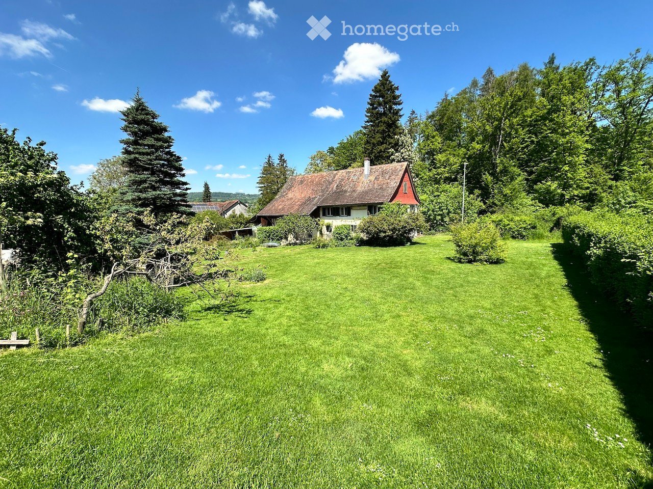 Single-family house with a spacious front yard, trees, and shrubs