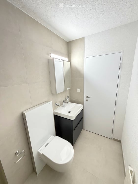 Moderne totalsanierte 5.5-Zimmer-Wohnung mit Balkon und Garage in Böttstein 12