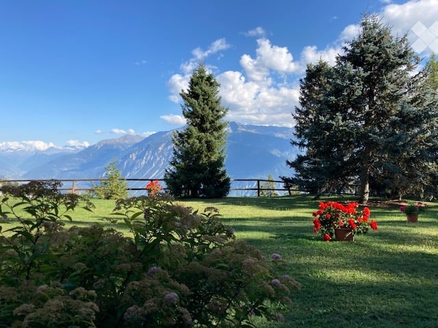 large green lawn with various plants and trees, fenced area, beautiful mountainous view