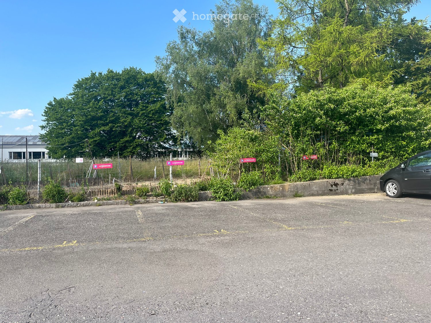 Empty parking lot with a low concrete wall, overgrown vegetation, and a parked car on the right side.