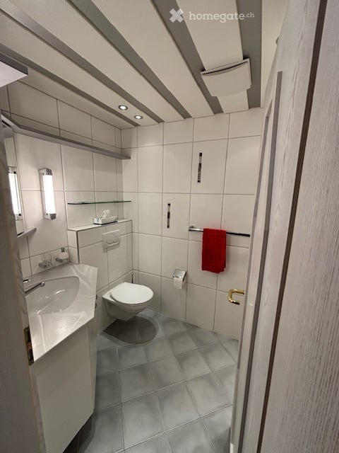 Grosszügige 6.5-Zimmer-Terrassenwohnung mit Panoramablick in Rorschacherberg 22