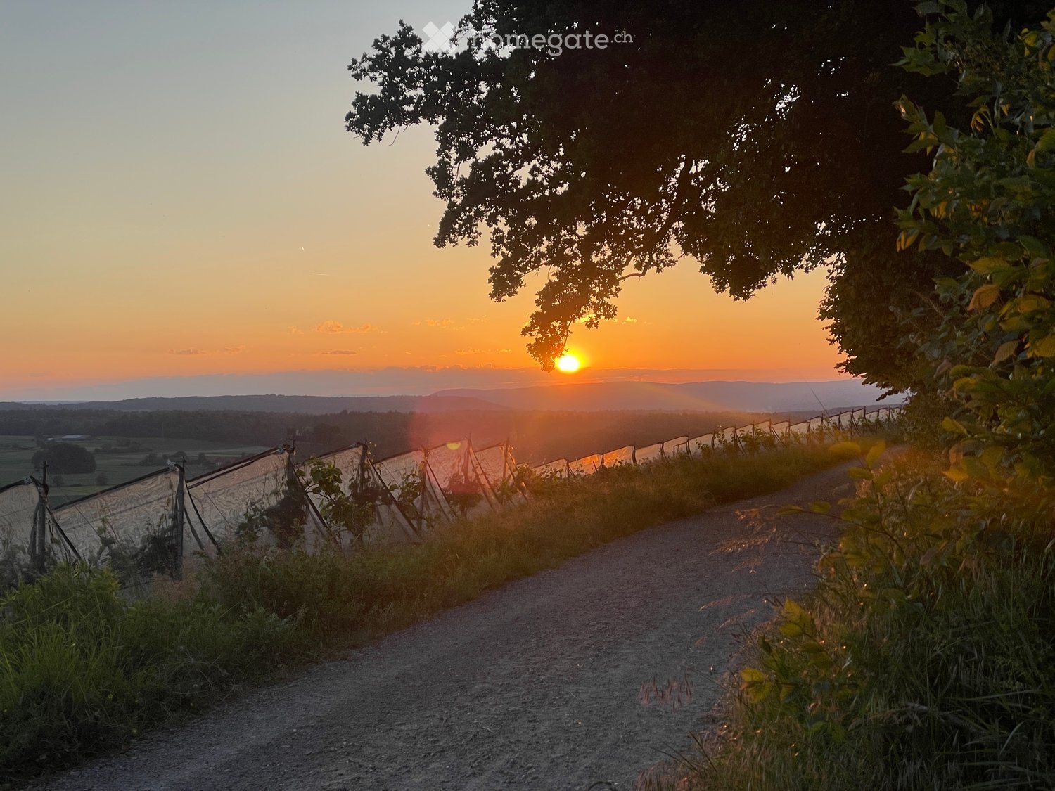 unpaved road, sunset over a hillside, a long protective fence