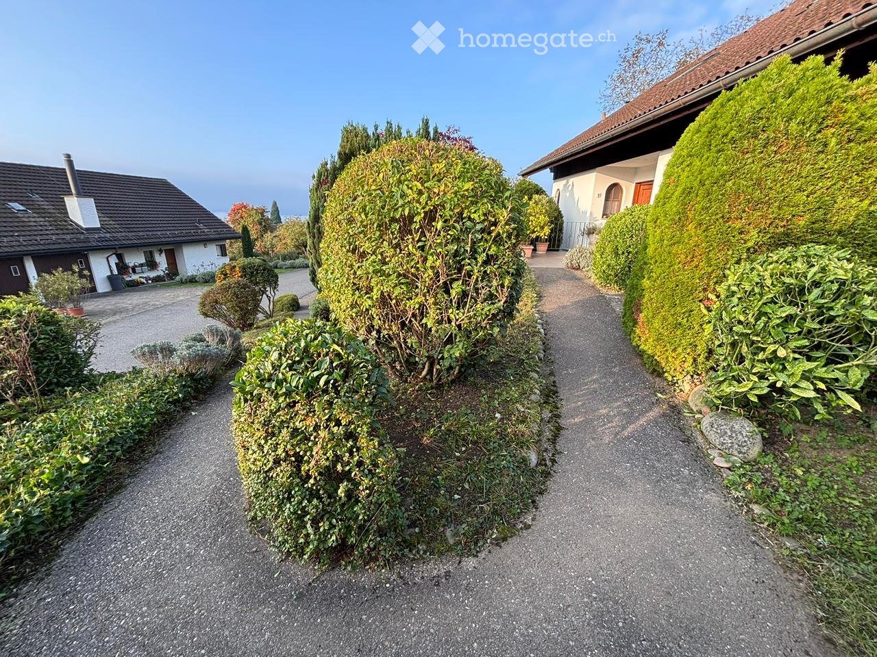 Immobilie in Sonterswil - Freistehendes 2.5 Zimmer Einfamilienhaus in unverbaubarer Panoramalage - Bild 5