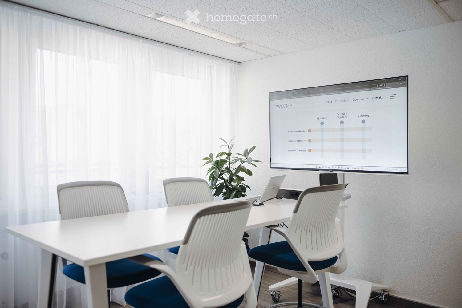 modern office with large desk, 6 chairs, big screen, laptop, plant, white curtains