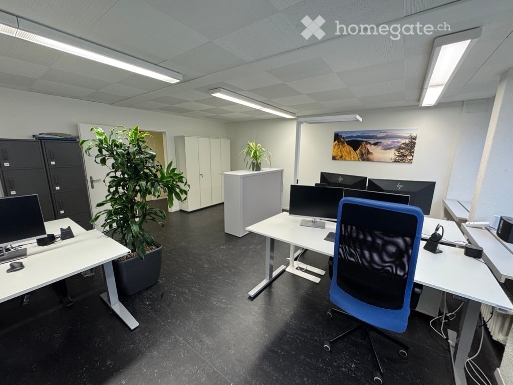 An office space featuring two desks, two monitors on each desk, blue chairs, potted plants, cabinets and a framed landscape picture on the wall.