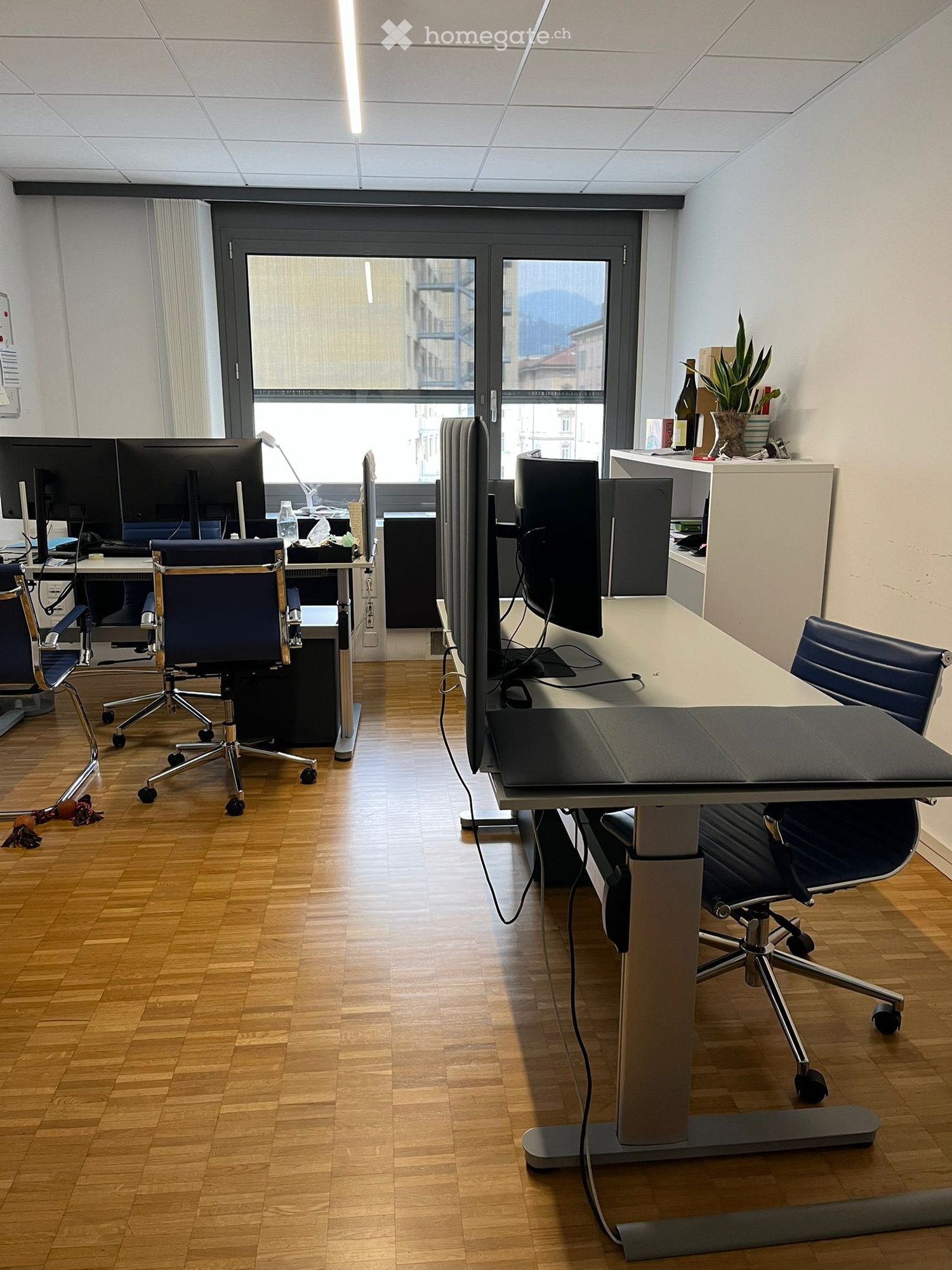 Wooden floor, white walls, multiple desk setups, standing desks, office chairs, computer monitors, desk lamp, shelves with plants and books, power outlets, natural light from windows