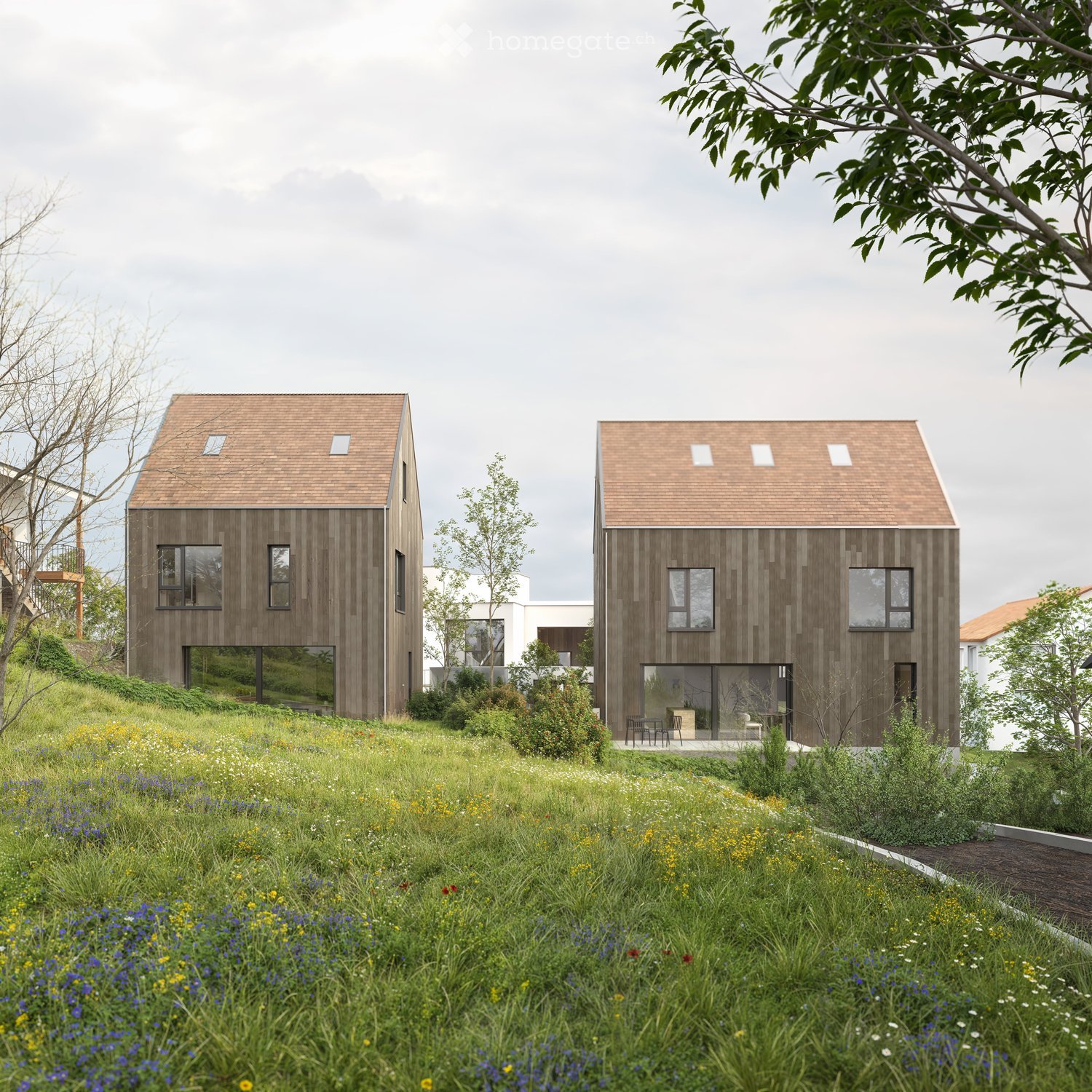 Modern two story houses, brown exterior, slanted roofs, large windows, grassy field
