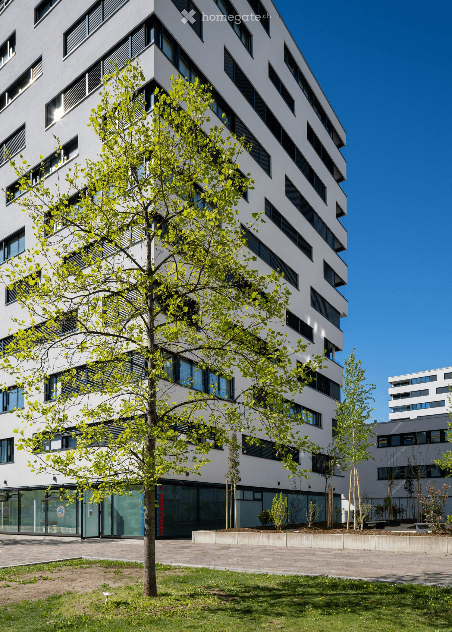 modern building, multiple floors, large windows, glass entrance, landscaping