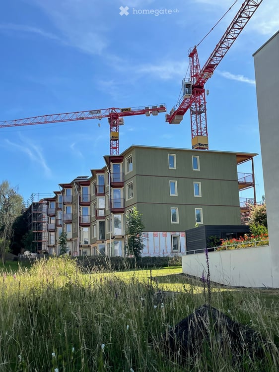 Arbon