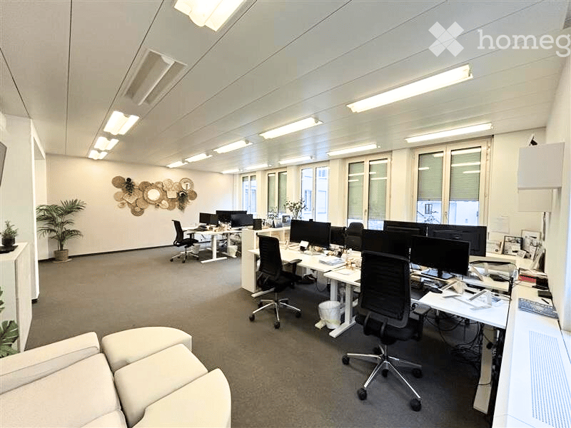 open layout with desks and chairs, computer monitors, wall decorations, two couches, two potted plants, and ceiling lamps