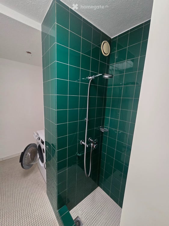 Grosszügige 5.5-Zimmer Dachwohnung in Wallisellen 12