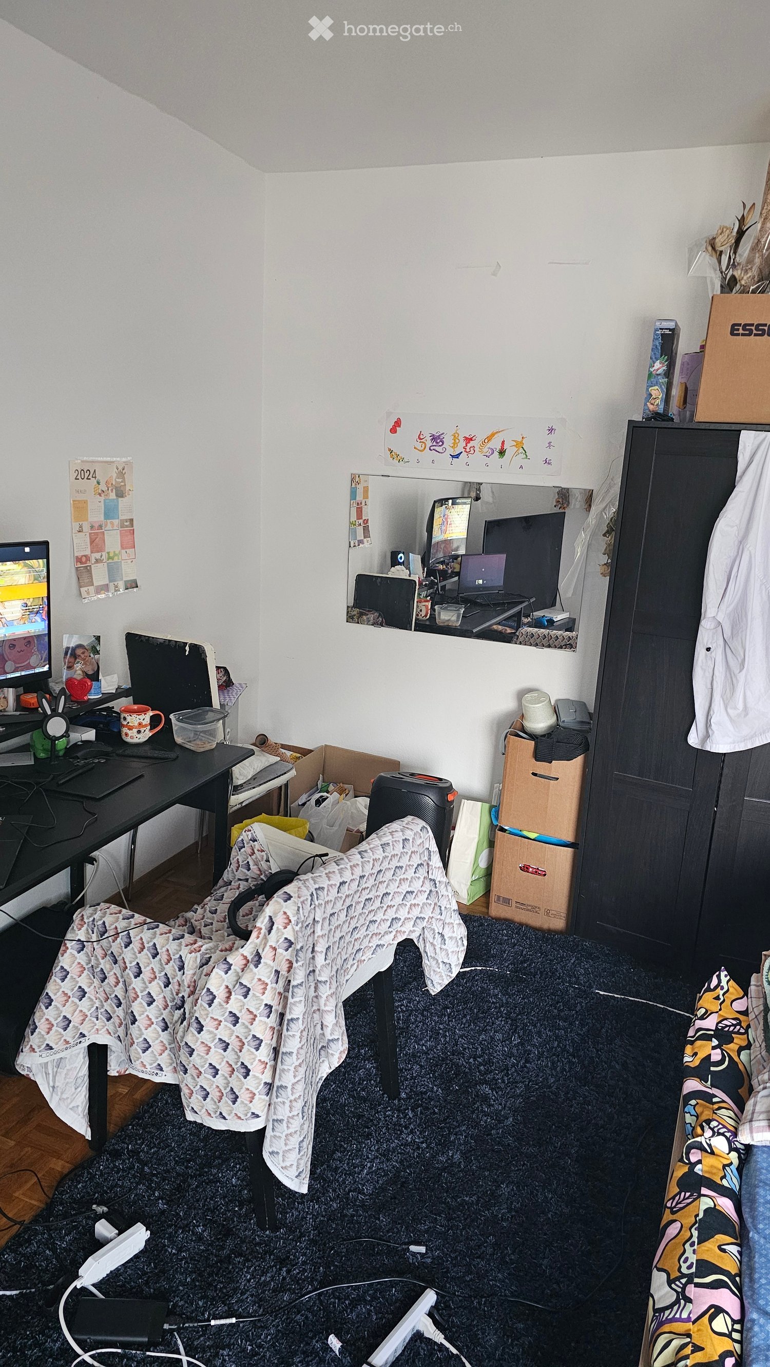Desk with computer, chair, mirror, storage boxes, rug, cabinet, bed