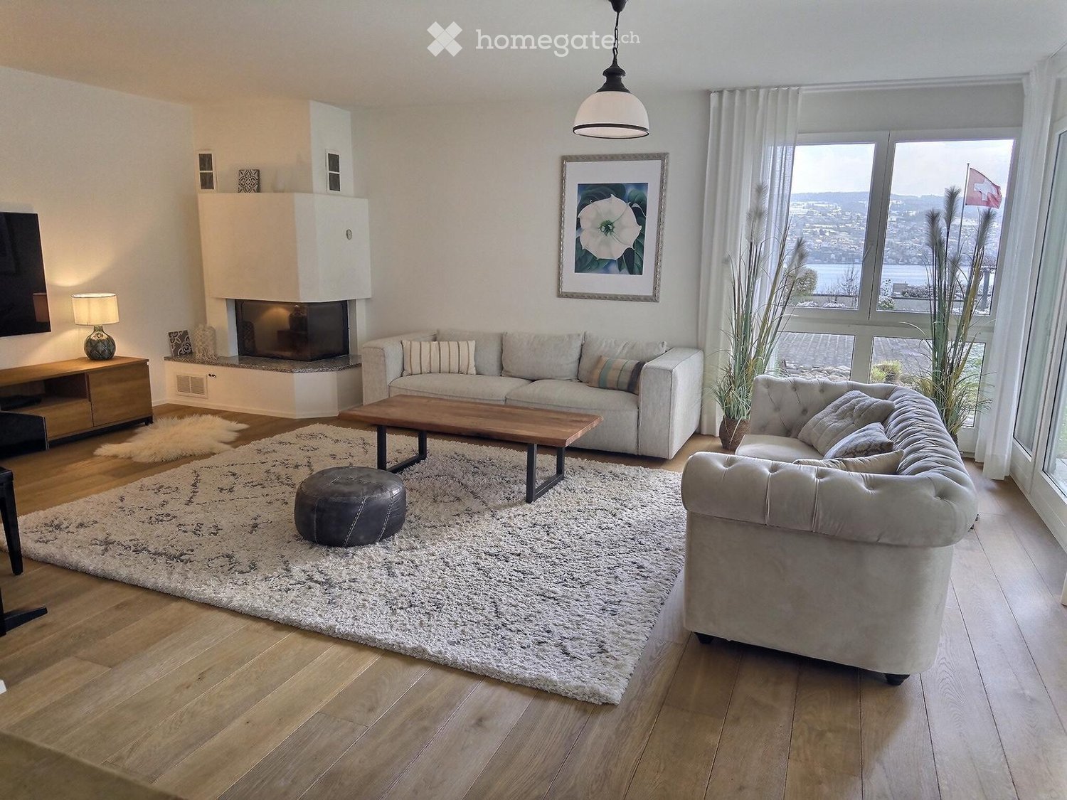 modern living room, fireplace, large windows, wooden floor, white walls, two couches, coffee table, rug, plants, TV, lamp