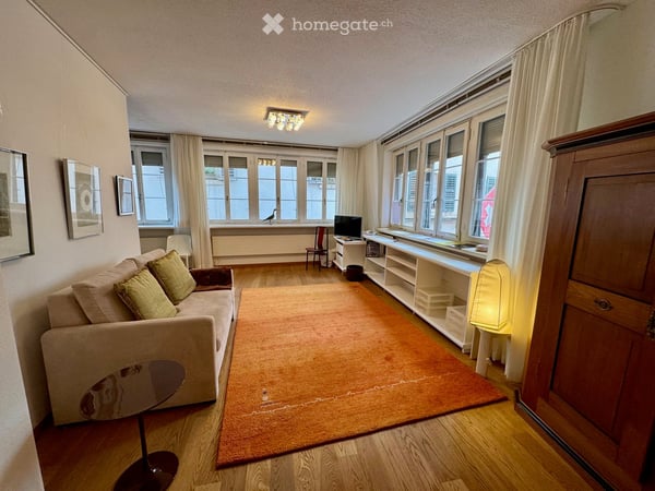 Charming furnished apartment in the heart of Zürich pedestrian area with partial river view 1