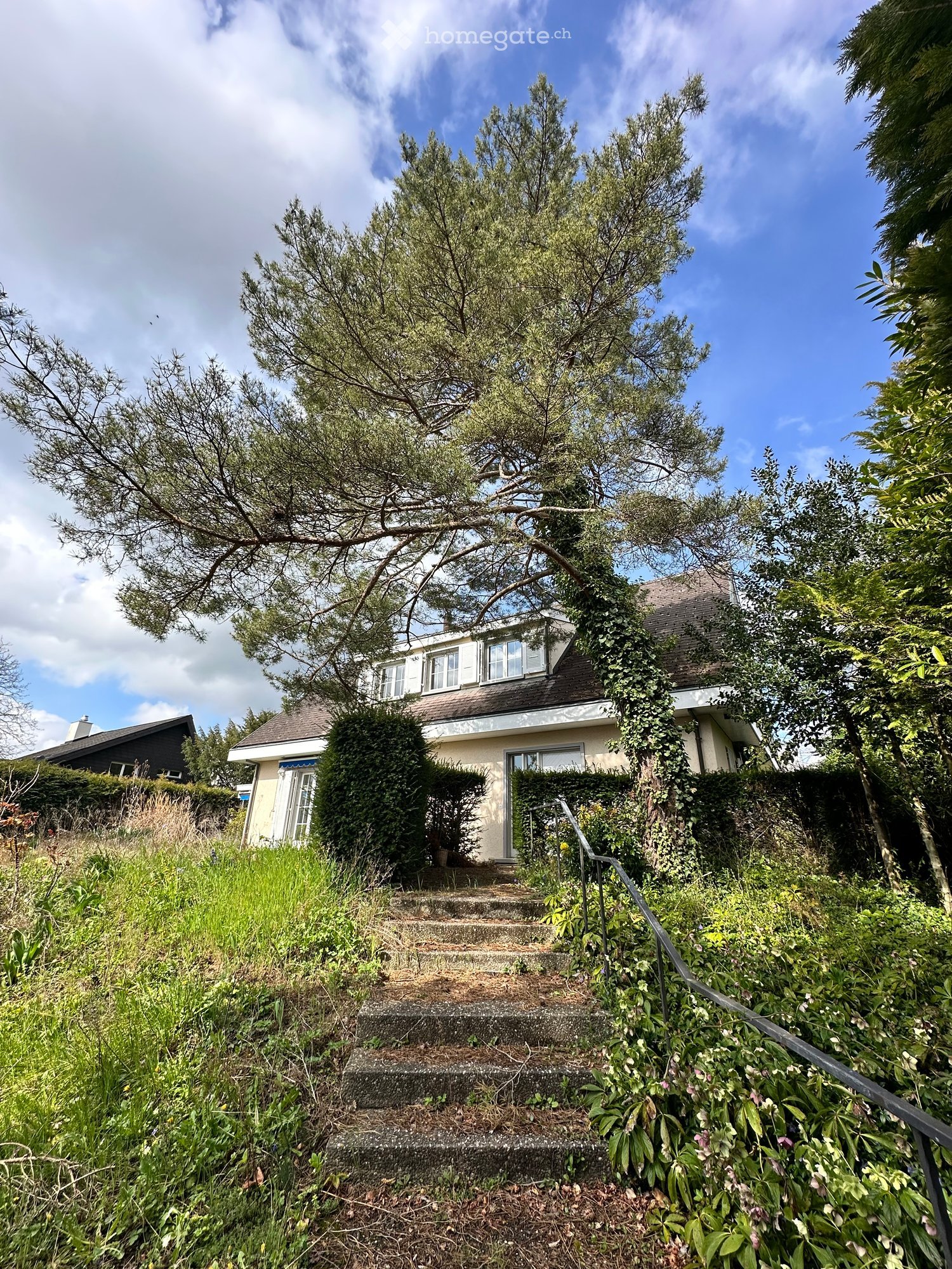 House with brown roof, white walls, steps leading up to the entrance, surrounded by greenery and trees
