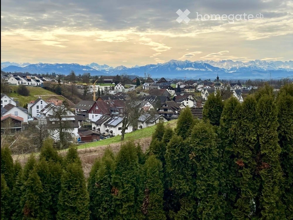 hillside view of a town with houses, mountains in the background, trees, cloudy sky