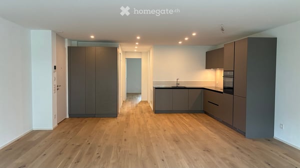 Residenza Verdeblu – Luminoso 2.5 locali con due terrazze a Locarno 4