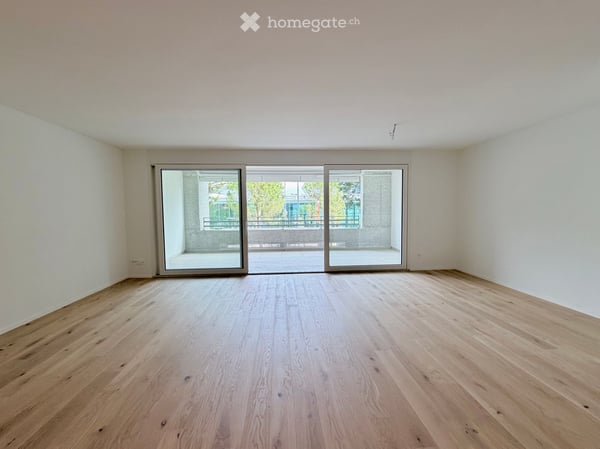Residenza Verdeblu – Luminoso 2.5 locali con due terrazze a Locarno 2
