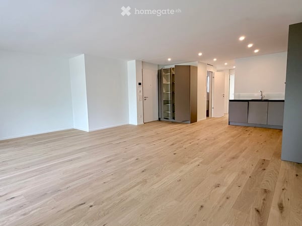 Residenza Verdeblu – 3.5 locali con due terrazze a Locarno 4