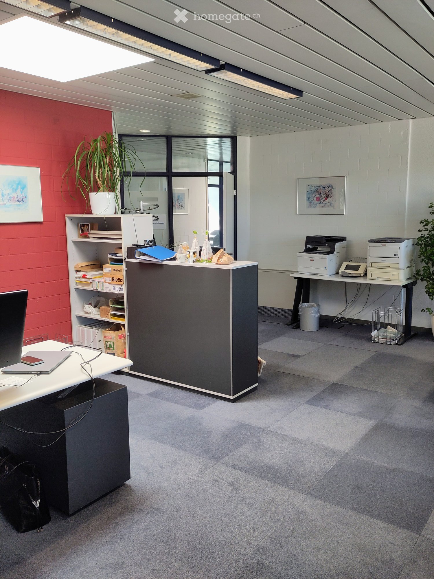 An office space with a desk, a shelf, a printer, a trash bin, and a potted plant.