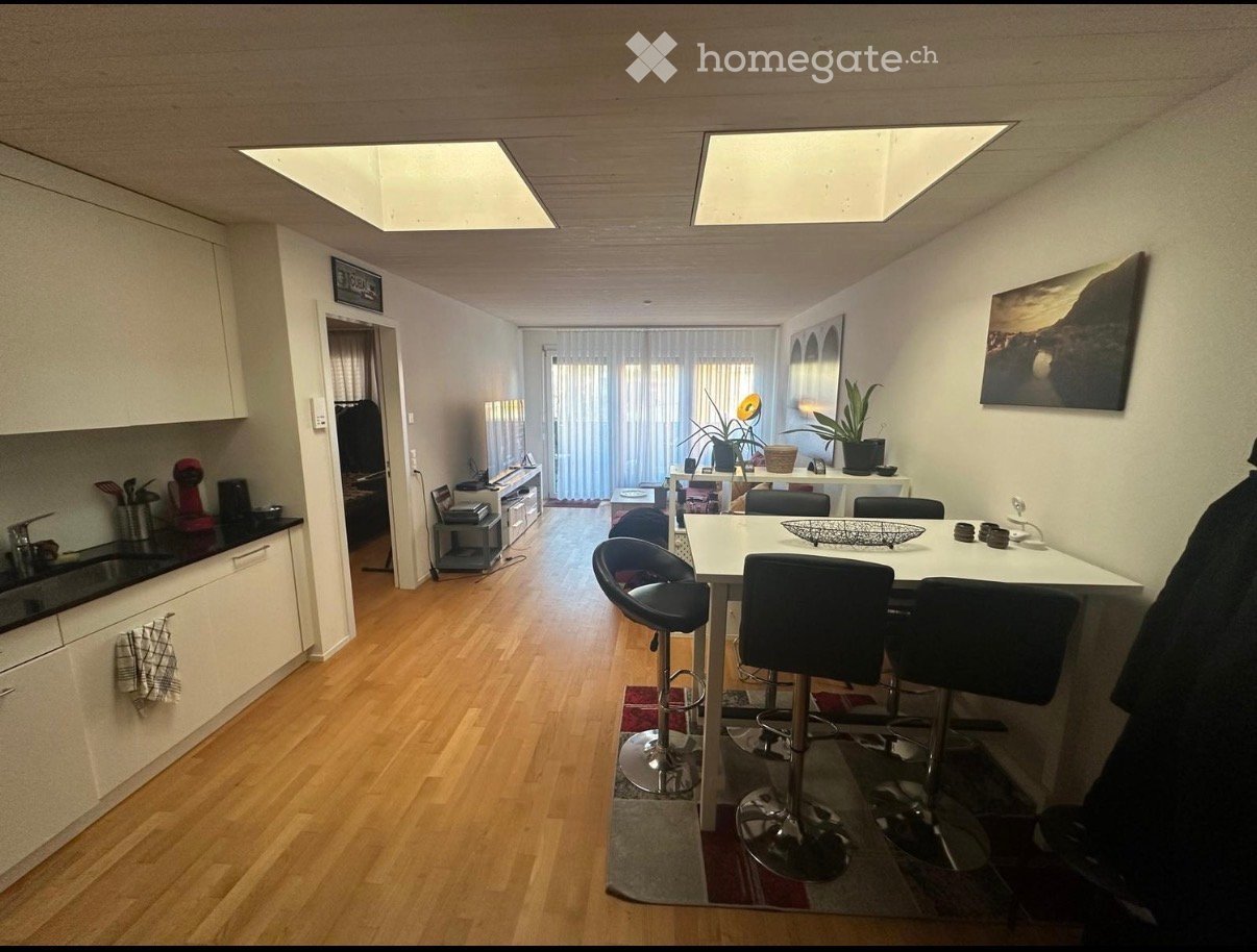 modern kitchen with dining area, white cabinets, wooden floor, white table and chairs, ceiling lights, plants, TV, and a rug
