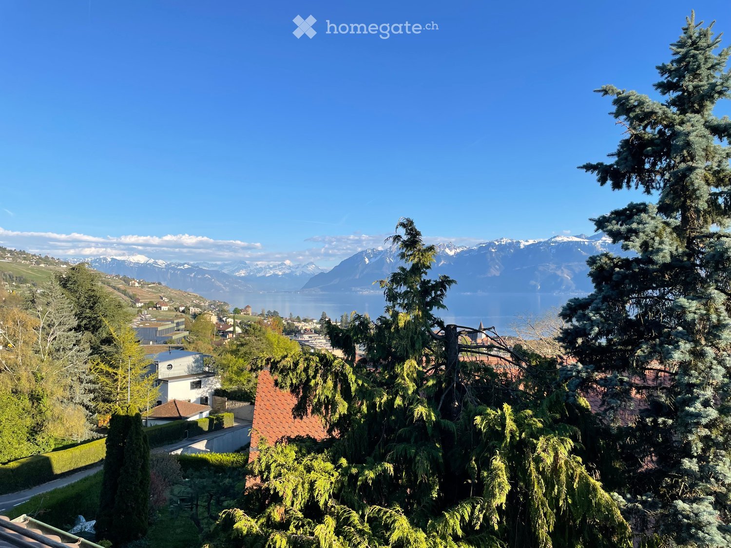 hillside garden with trees, houses, mountains, and lake in the background