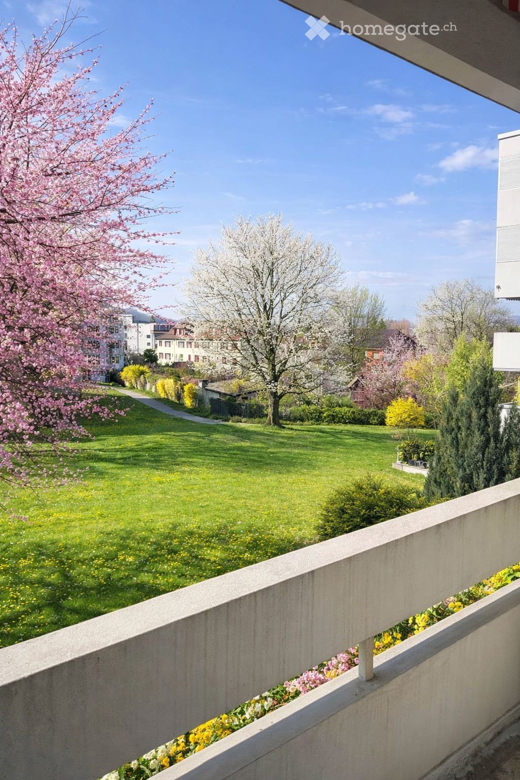 balcony with railing, view of a large green lawn with trees and bushes, pink and white flowers, buildings in the background