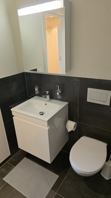 Modern 2.5-Room Apartment in New Building - Goldach 2