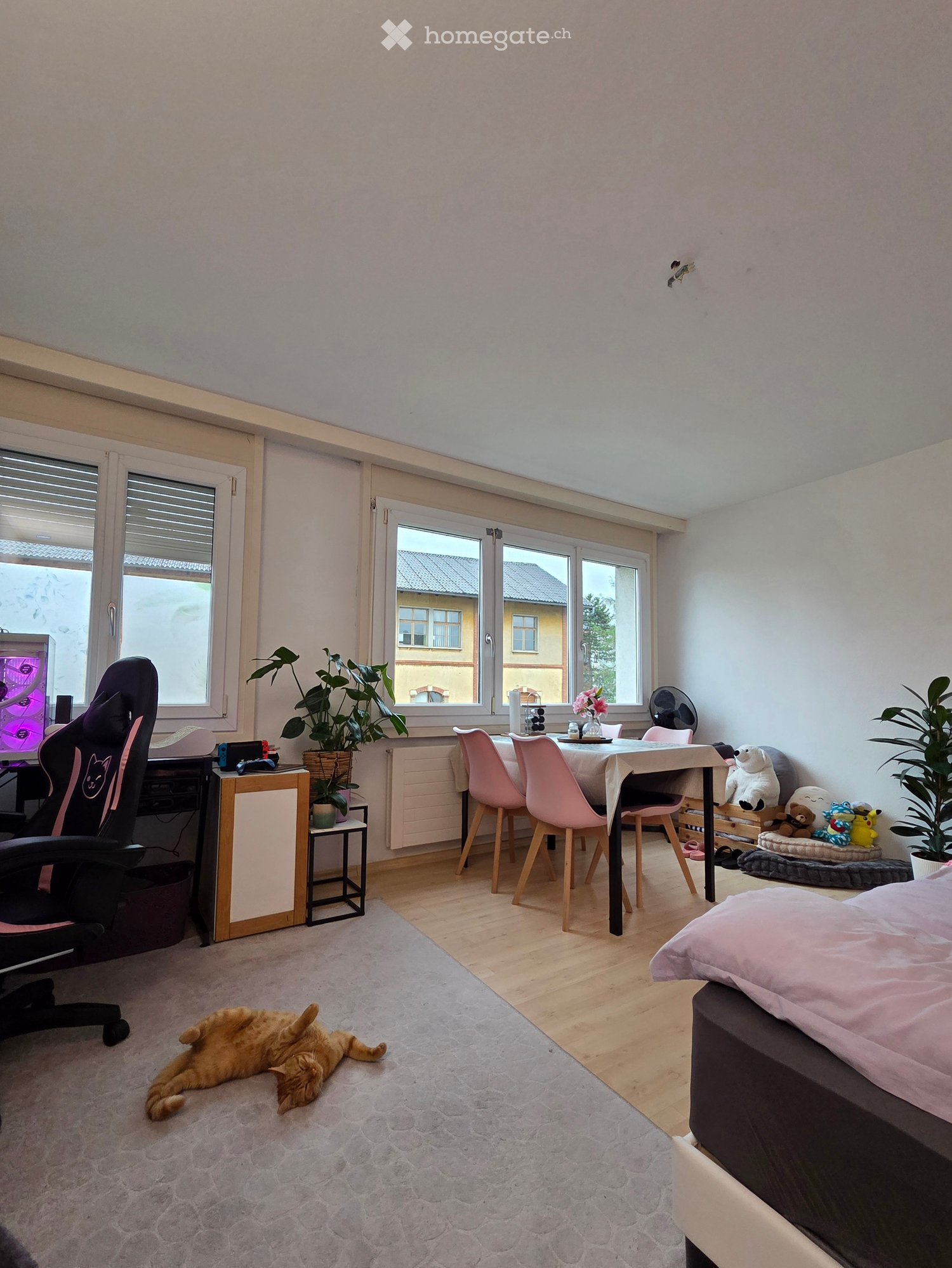 bedroom with desk, chair, cat, bed, dining table, chairs, plants, toys, radiator