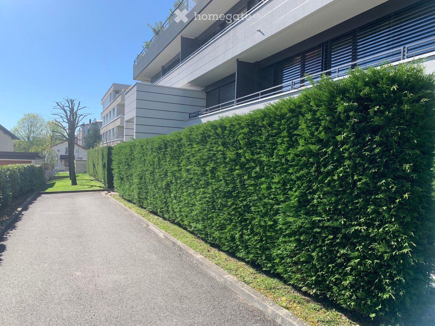 A hedge is on the side of the road, with a building behind it.