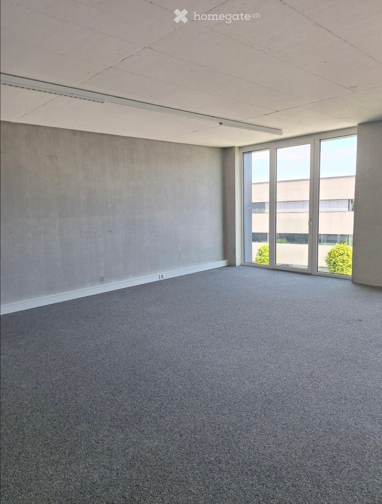 empty room, gray walls, gray carpet, large windows, ceiling lights