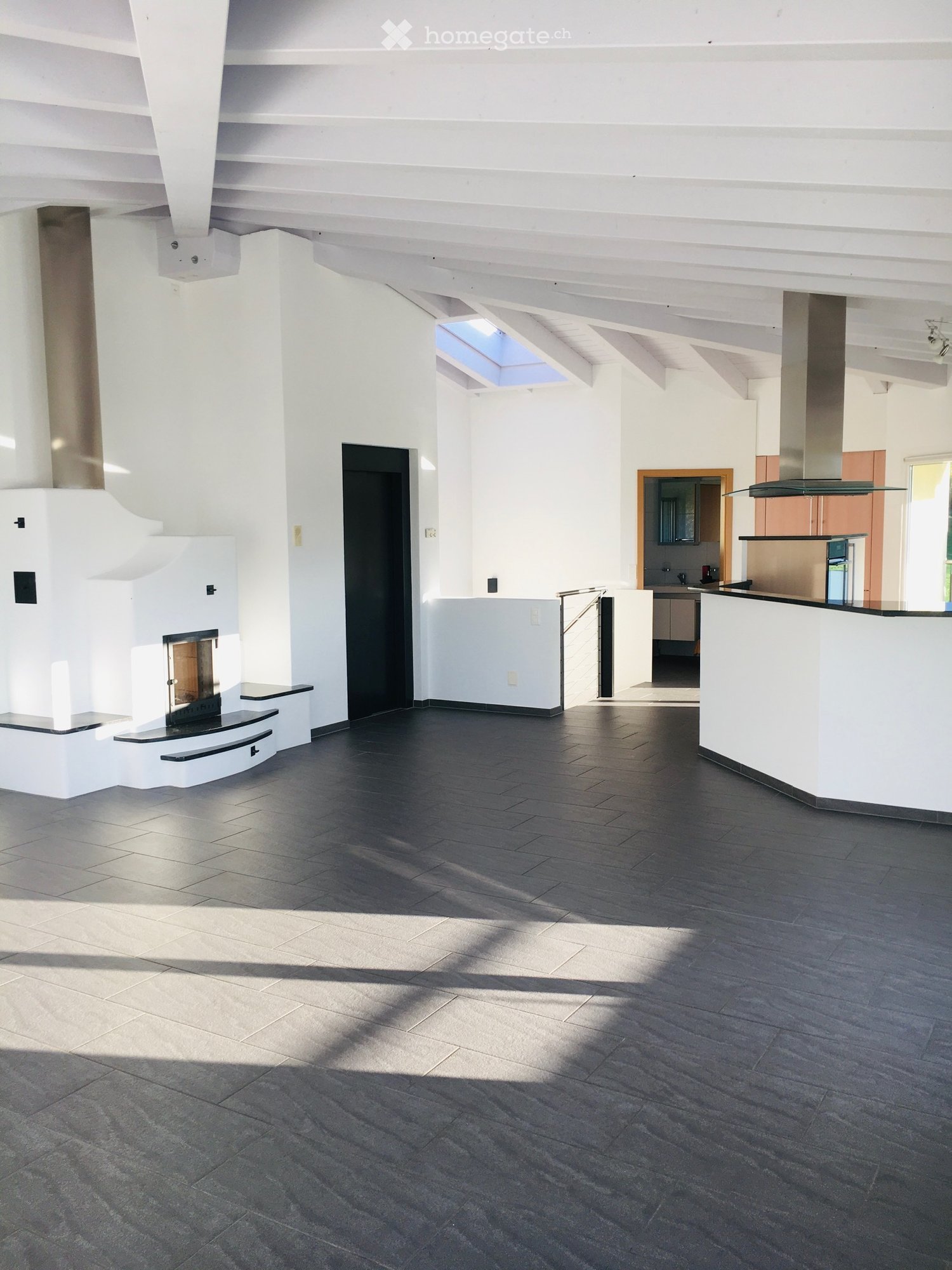 modern design, fireplace, white walls, black floor, open kitchen, skylight
