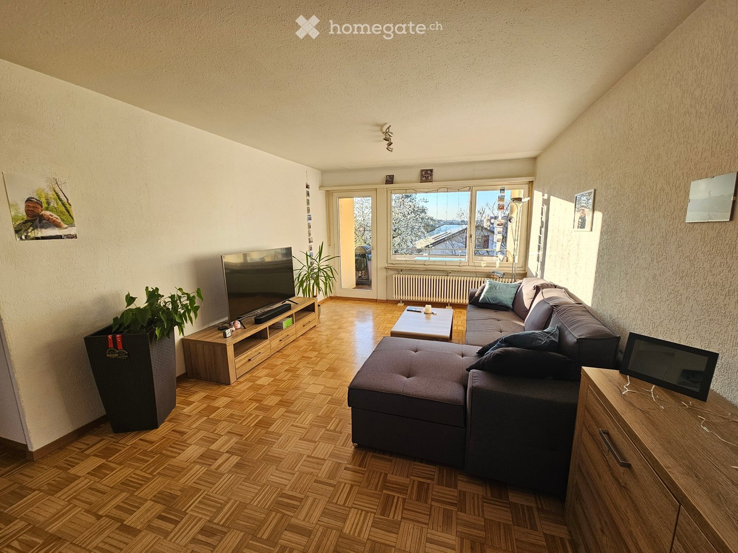 Living room with wooden floor, large windows, couch, coffee table, TV, plants, wooden cabinet, radiator