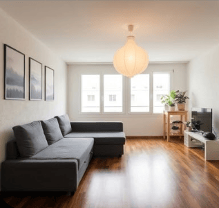 Living room with hardwood floors, gray couch, three picture frames, large windows, pendant light, TV, small table with plants
