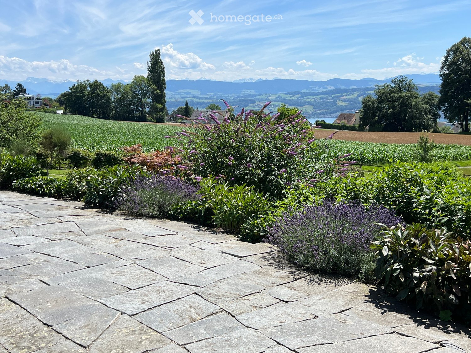 Stone pathway, various plants, lavender, green bushes, mountains in the distance, clear sky