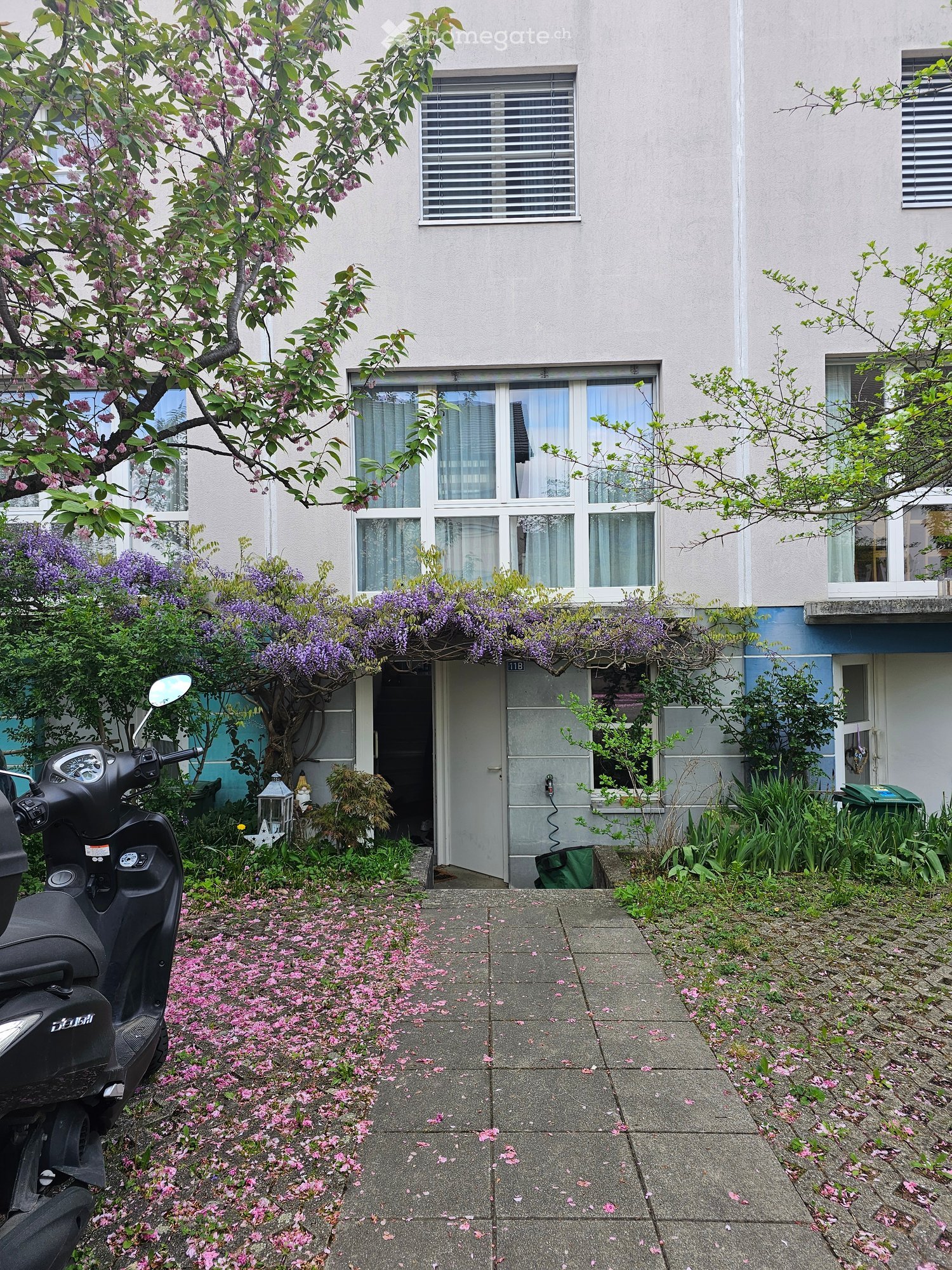 3 story house, white walls, white windows, purple flowers, entrance, scooter