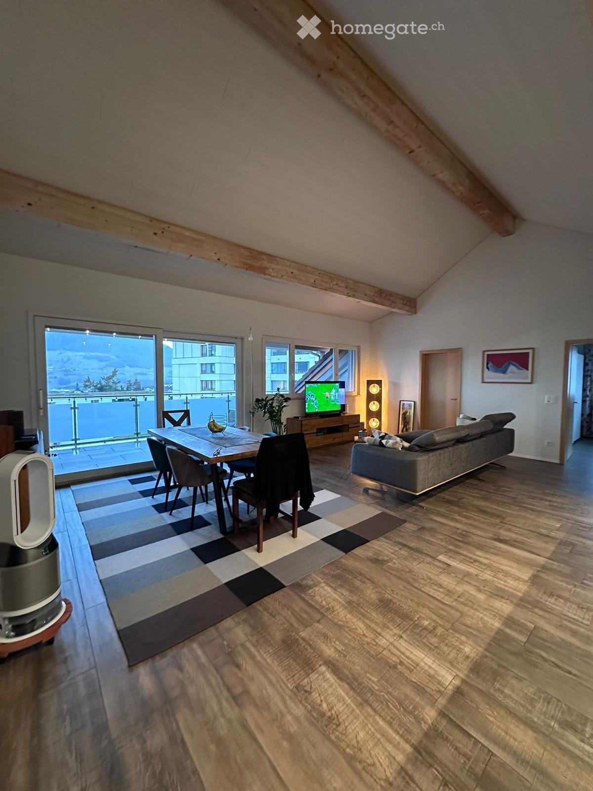 open plan living room, dining area, large windows, balcony, wooden floor, TV, couch, dining table, chairs, rug, plants