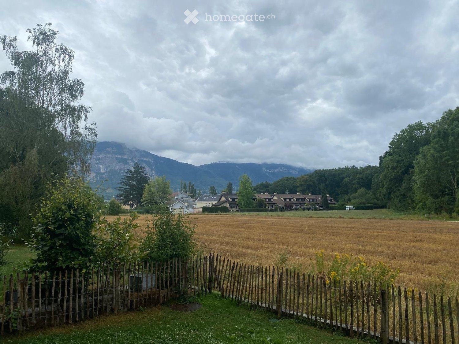 fenced garden with plants, field, mountains in the background