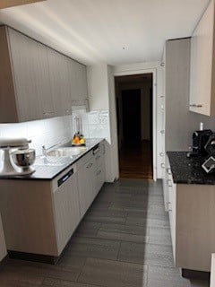 modern kitchen, wooden cabinets, granite countertops, stainless steel sink, dishwasher, washing machine, mixer, fruit bowl, coffee machine