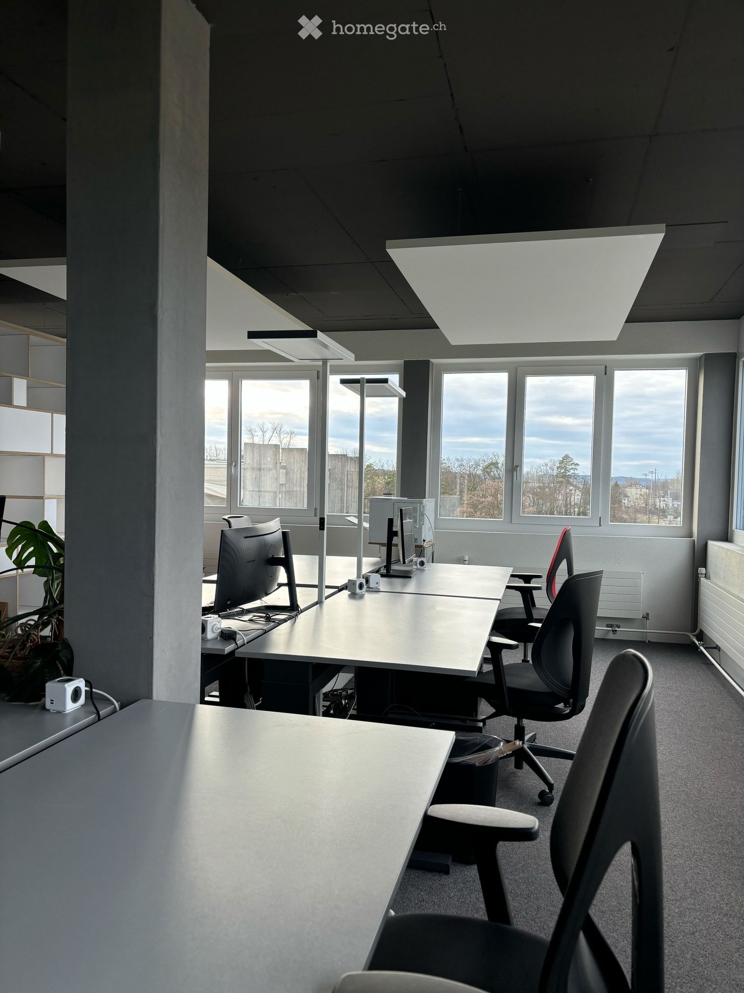 modern office with desks, chairs, computer monitors, plants, and large windows