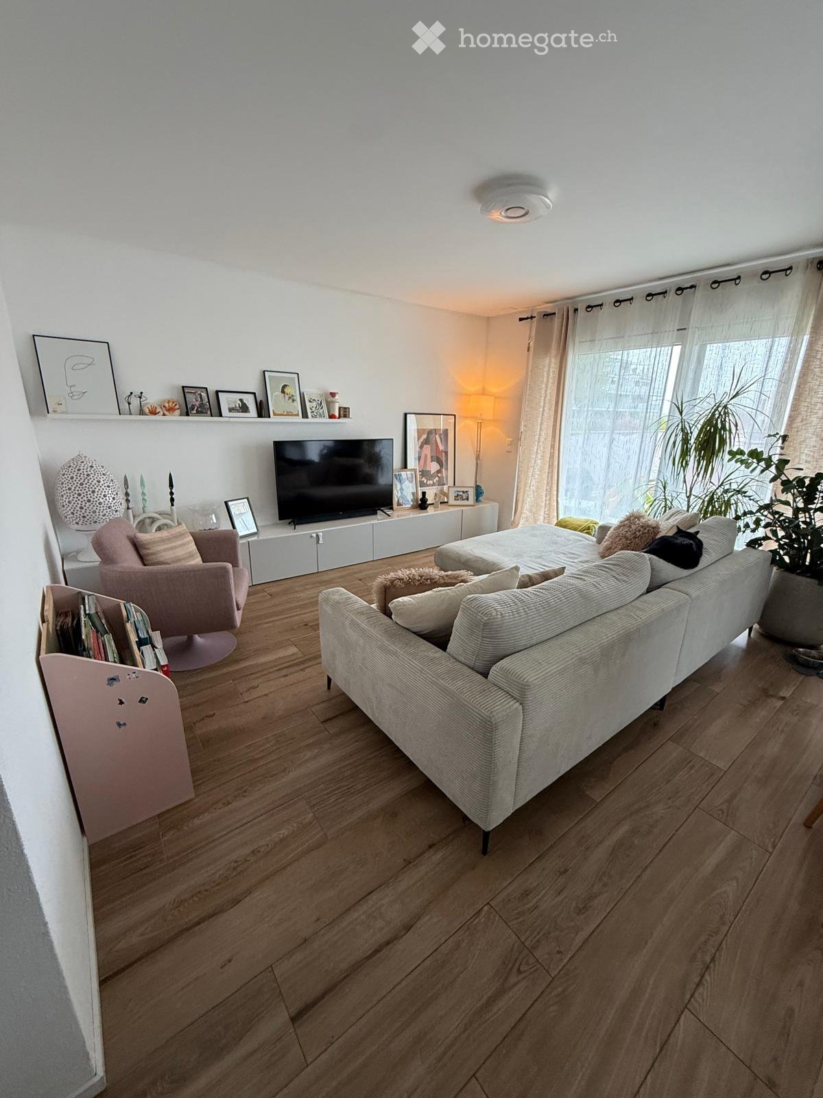 living room with wooden floor, white walls, large windows, gray sofa, TV, armchair, shelves, plants