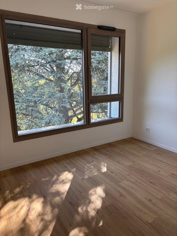 2 appartements neufs à louer à Bernex (4.5 pièces attique et un 5 pièces) 8