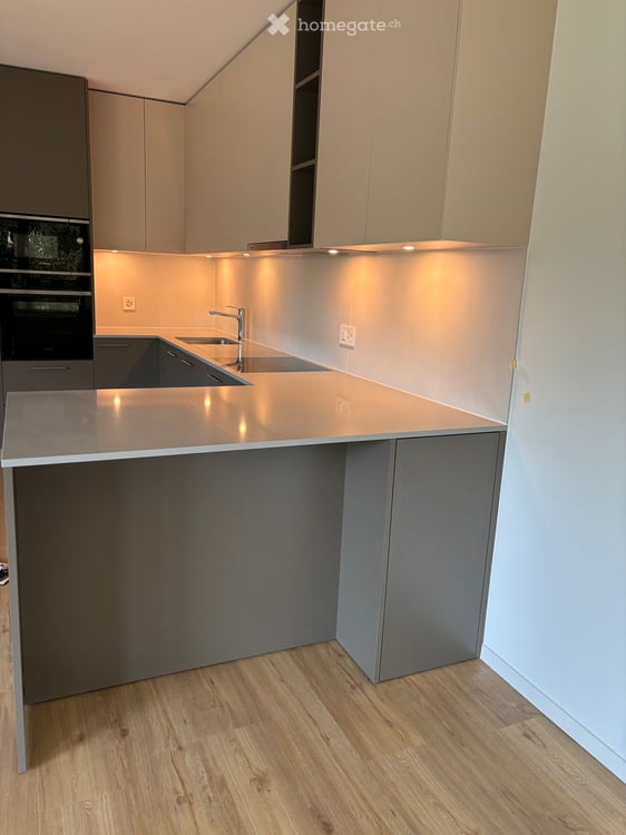 2 appartements neufs à louer à Bernex (4.5 pièces attique et un 5 pièces) 5