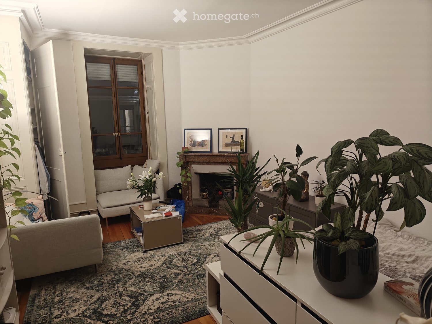 white walls, fireplace, white couch, coffee table, rug, plants