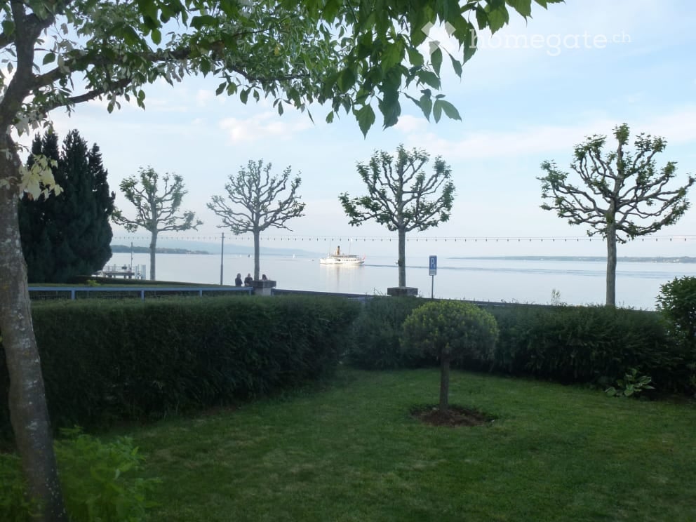 green grass, bushes, trees, lake, boat