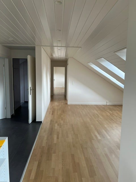 Empty hallway with wooden flooring, white walls, and skylight windows at the end.
