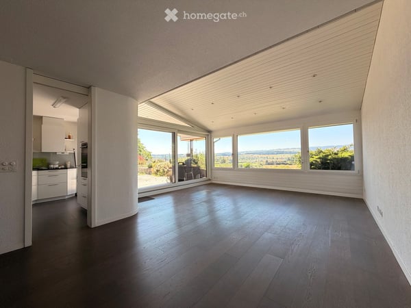 5.5 Zimmer Terrassenhaus in Hünenberg 2